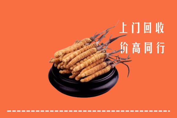高价求购：察雅县回收散虫草